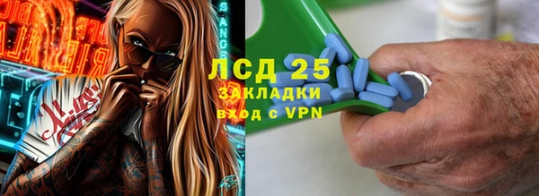 apvp Алзамай