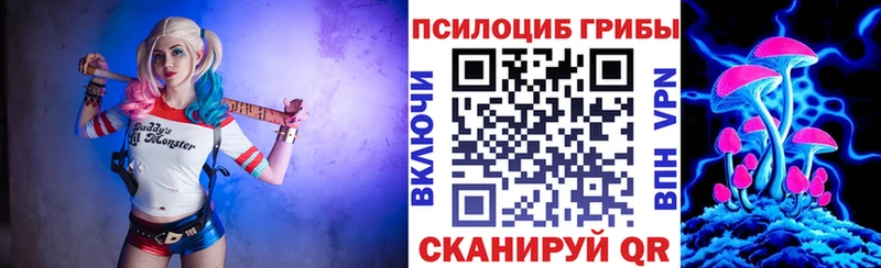 закладки  Спасск-Дальний  Псилоцибиновые грибы GOLDEN TEACHER 